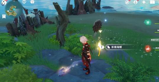 原神幻境海螺位置全攻略