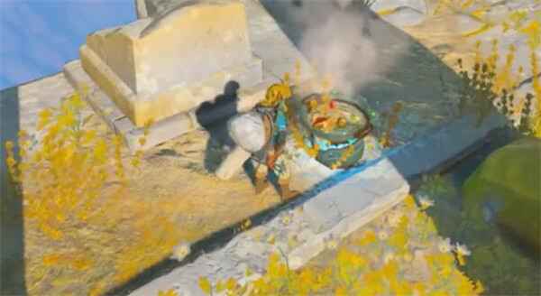 塞尔达传说王国之泪药品购买地点和获取方法