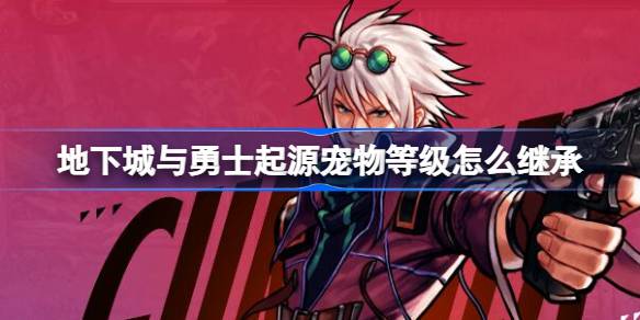 地下城与勇士起源宠物等级继承：关键规则与注意事项