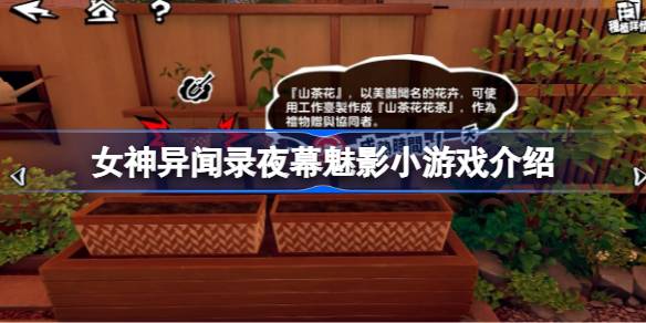 女神异闻录夜幕魅影:五维提升小游戏全攻略