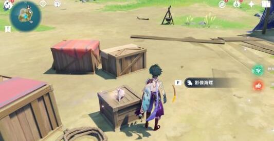 原神幻境海螺位置全攻略