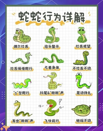 文字游戏蛇通关全攻略,图解进阶技巧,蛇形走位实战解析