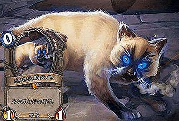 比格沃斯为何不能杀,从魔兽世界到伦理学的双重拷问